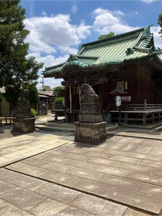 袋の殿山の登城記録(監督さん)