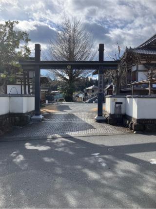 来住野氏館（舘谷の塁）の登城記録(監督さん)