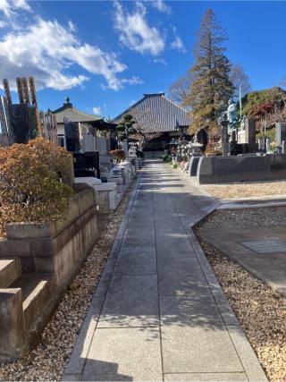 小川城（宝清寺館、小川氏館）の登城記録(監督さん)