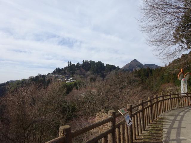 東京都青梅市御岳山 御岳城（御岳山城）の写真1