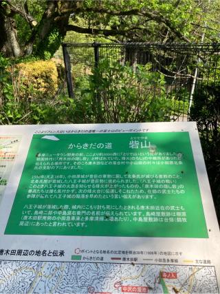 砦山（唐木田の隠し砦）の登城記録(監督さん)