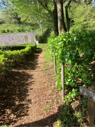 砦山（唐木田の隠し砦）の登城記録(監督さん)