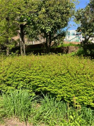 中島屋敷の登城記録(監督さん)