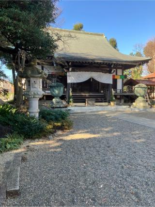 温井屋敷の登城記録(監督さん)