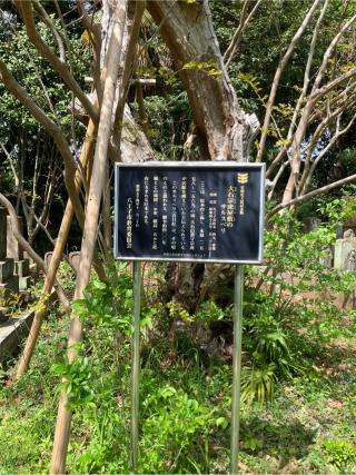 大石氏館（大石信濃守屋敷）の登城記録(監督さん)