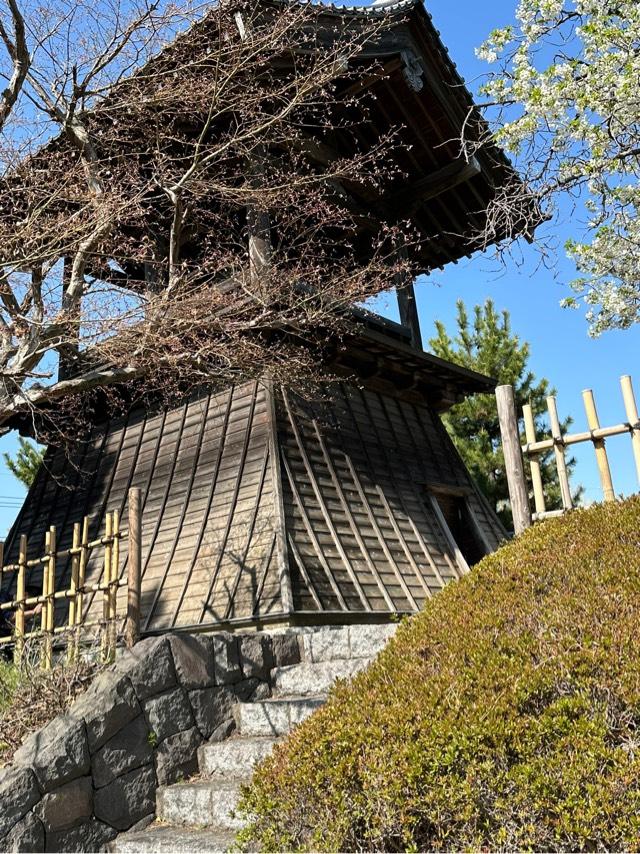 埼玉県行田市本丸１７−２３ 忍城の写真3