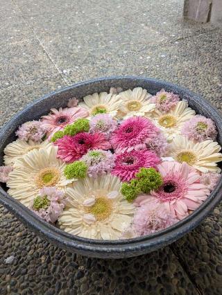 忍城の登城記録(まるさん)