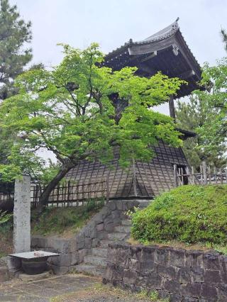忍城の登城記録(はるけいぱぱさん)