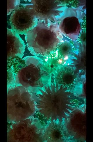 忍城の登城記録(葉月　光さん)