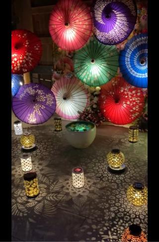 忍城の登城記録(葉月　光さん)