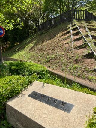 小田屋敷の登城記録(監督さん)