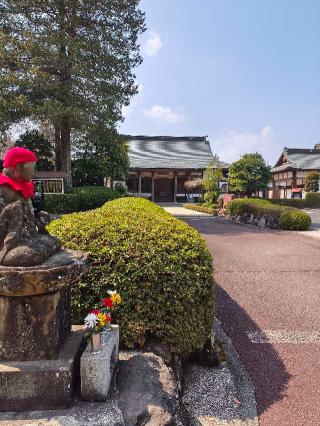 近藤砦（浄泉寺城、近藤出羽守屋敷）の登城記録(マリリさん)