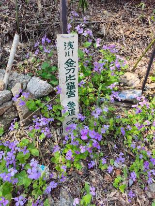 金比羅山砦の登城記録(マリリさん)