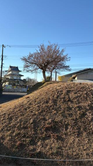 騎西城の登城記録(みねさん)