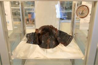 騎西城の登城記録(こにーさん)