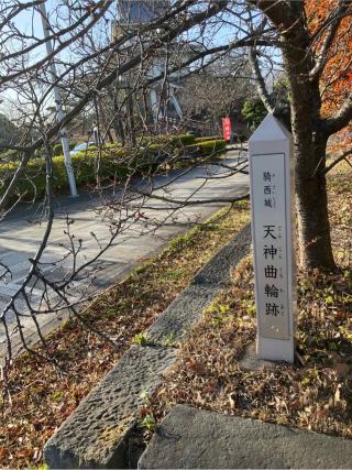 騎西城の登城記録(監督さん)