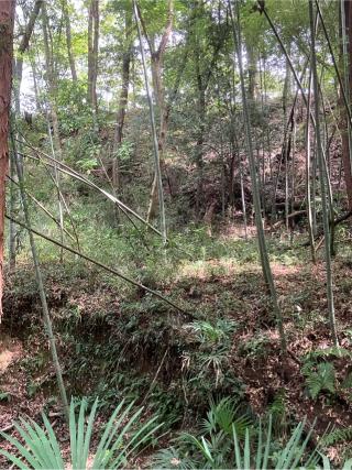 長沼館（長沼氏館）の登城記録(監督さん)