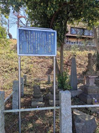 松木屋敷の登城記録(マリリさん)