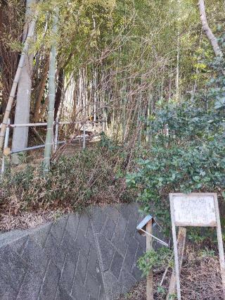 野猿峠塁の登城記録(マリリさん)