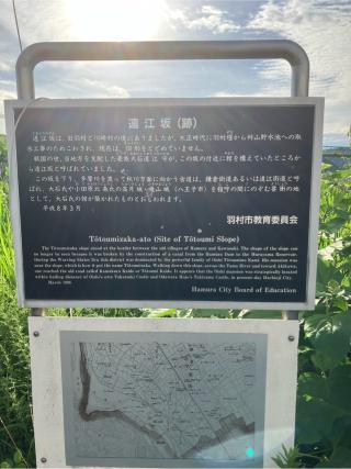 大石氏館（遠江坂館）の登城記録(監督さん)