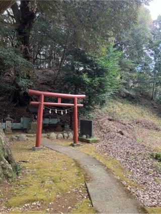 百草城の登城記録(監督さん)