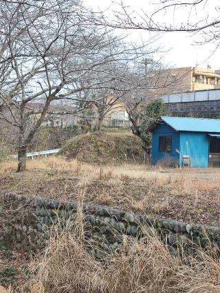 幸神屋敷（御屋敷、幸神御殿）の登城記録(マリリさん)