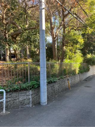 浅野長政館の登城記録(監督さん)