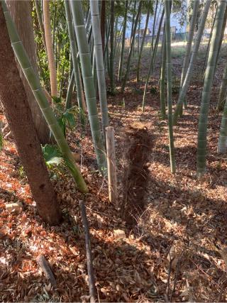 浅野長政館の登城記録(監督さん)