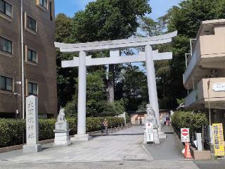 府中御殿　付国司館（徳川家康府中御殿、家康御殿、武蔵国司館）の登城記録(SFUKUさん)