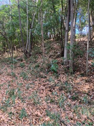 小山田城東砦の登城記録(監督さん)