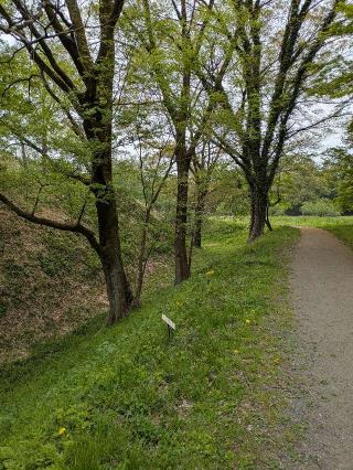 菅谷館（菅谷城）の登城記録(まるさん)