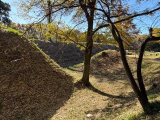 菅谷館（菅谷城）の登城記録(ミキオさんさん)