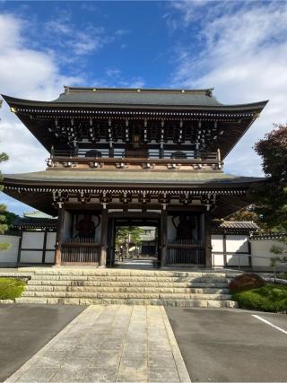 村山氏館の登城記録(監督さん)