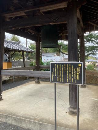 横地堅物館の登城記録(監督さん)