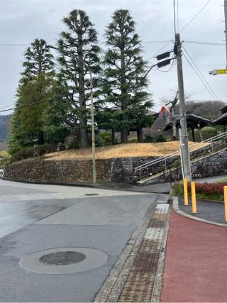 横地堅物館の登城記録(監督さん)