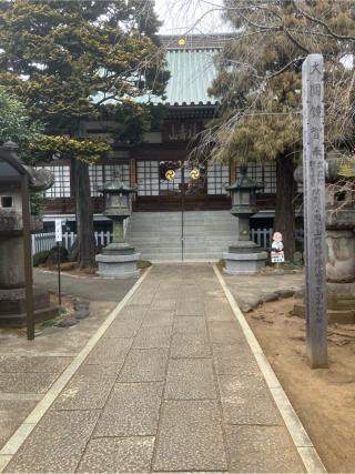 板倉屋敷（徳蔵寺塁）の登城記録(監督さん)
