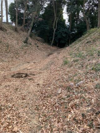 滝の城の登城記録(監督さん)