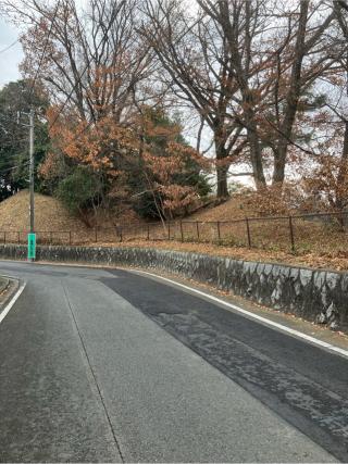 稲城・程久保城の登城記録(監督さん)