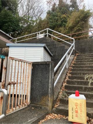 稲城・程久保城の登城記録(監督さん)