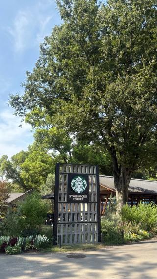 忍岡城の登城記録(みねさん)