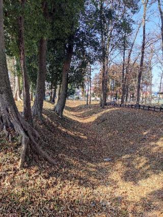 花崎城（花崎遺跡）の登城記録(マリリさん)