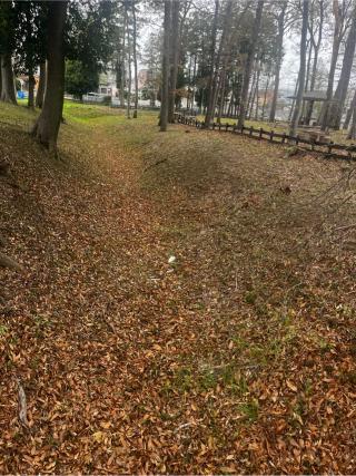 花崎城（花崎遺跡）の登城記録(やさかさん)