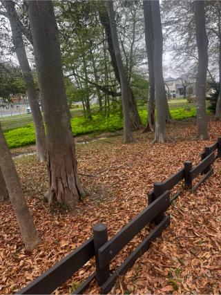 花崎城（花崎遺跡）の登城記録(やさかさん)