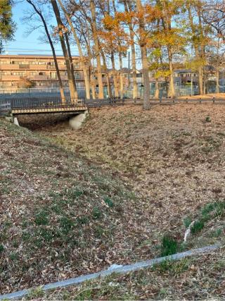 花崎城（花崎遺跡）の登城記録(監督さん)