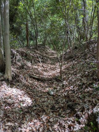 花園城の登城記録(まるさん)