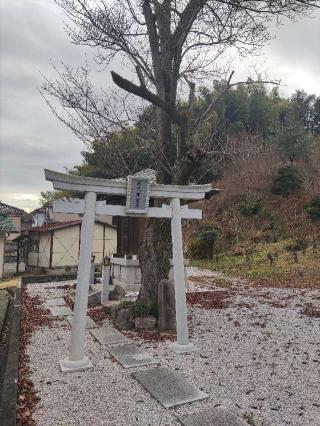 平井堀ノ内の登城記録(マリリさん)