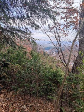 唐松山城（物見山）の登城記録(マリリさん)