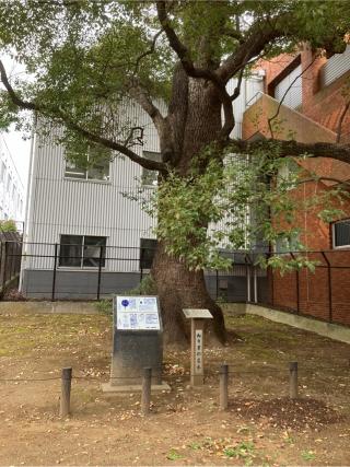 殿山の登城記録(監督さん)