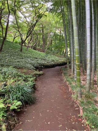 殿ヶ谷戸城の登城記録(監督さん)