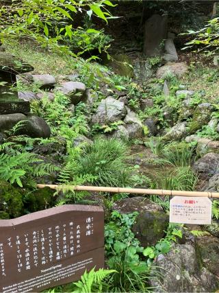 殿ヶ谷戸城の登城記録(監督さん)